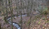 Tour Wandern Sprimont - 20240212 - Banneux 7.1 Km - Photo 9