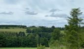 Trail Walking Neufchâteau - Bois d’Ospau - Photo 5