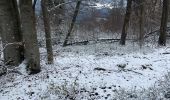 Tocht Stappen Stavelot - SityTrail - Extratrail_stavelot_13km_new - Photo 5
