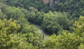 Randonnée Marche Bruniquel - bruniquel le cabeo - Photo 2