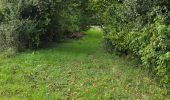 Tour Wandern Bueil-en-Touraine - Bueil-en-Touraine - Autour de la vallée du Long - Photo 19