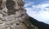 Excursión Senderismo Le Saix - Montagne d'Aujour - Photo 10