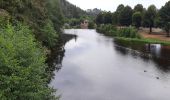 Trail Walking Le Malzieu-Ville - LE MALZIEU - APCHER  - Photo 12