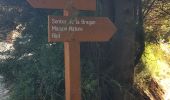 Randonnée Marche Valbonne - La Brague de Valbonne - Photo 11