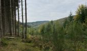 Tocht Stappen La Roche-en-Ardenne - Ramee  - Photo 4