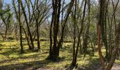 Tour Wandern Rocamadour - St sauveur - Photo 9