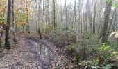 Tour Wandern Saint-Aubin-Celloville - 20211106-St Aubin Celloville - Photo 15