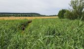 Tour Wandern Fatouville-Grestain - HONFLEUR 07 - Phare de Fatouville (Normandie) - Photo 17