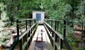 Randonnée Marche Eupen - Promenade de la forêt des ducs   - Photo 8