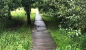 Trail Walking Oud-Heverlee - Dode Beemd promenade - Photo 1