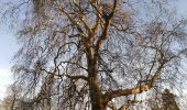 Tocht Te voet Geldenaken - Promenade de la Ramée - Photo 1