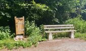 Percorso Marcia Fontaine-l'Évêque - Balade en forêt Domanial de Leernes  - Photo 12