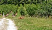 Randonnée Marche Azay-le-Rideau - Azay-le-Rideau - l'Islette - 17km 220m 4h05 (20mn) - 2021 06 12 - Photo 3