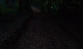 Trail Walking Marchaux-Chaudefontaine - Chaudefontaine - Photo 4