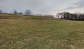 Trail Walking Maastricht - CANI-RANDO TOUR (boucle, montage saint pierre partie Hollande) - Photo 4