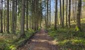 Tour Wandern Viroinval - Balade à Le Mesnil - Viroinval - Photo 11