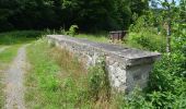 Tour Zu Fuß Schöffengrund - Rundwanderweg Schwalbach - Niederquembach - Photo 9