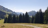 Excursión Bici de montaña Thônes - tour plateau glieres  - Photo 2