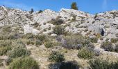 Tocht Stappen Mouriès - Les Castellas des Baux - Photo 2