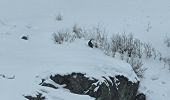 Tocht Sneeuwschoenen Bessans - Raquette bonneval - Photo 6