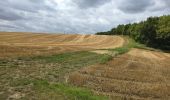 Tour Wandern Saint-Hilaire - Saint-Hilaire - Géosite et abri gravé - Photo 11