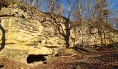 Excursión Senderismo Villey-le-Sec - Villey le sec - Les grottes - Le fort - Photo 17