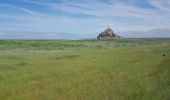 Tour Wandern Le Mont-Saint-Michel - Le Mont St Michel,  Herbus, Sables, et Barrage de La Caserne. - Photo 15