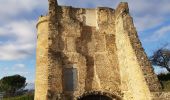 Tour Wandern Anjou - les châteaux Anjou - Photo 6