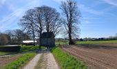 Trail Walking Chaumont-Gistoux - GS 2025_05_04 Hauts-Champs Livr.2/3e Définitif - Photo 8