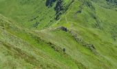 Excursión Senderismo Lavigerie - 2024 RA Cantal Puy Mary - Photo 10