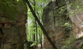 Trail Walking Echternach - Echternach-Beaufort - Photo 8