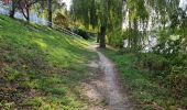 Randonnée Marche Tours - Circuit des passerelles sur le Cher à Tours Sud - Photo 19