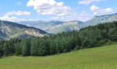 Tour Wandern La Motte-Chalancon - La Motte Chalancon - Plateau de la Chau - Photo 20