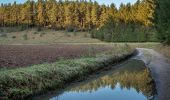 Tour Zu Fuß Wonsees - Wonsees Schwalbachtal-Wanderweg - Photo 6