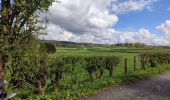 Tour Elektrofahrrad Malmedy - lac - Photo 3