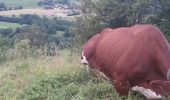 Tocht Stappen Péseux - Péseux 18 juin 2019 CAF - Photo 5