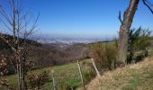 Tocht Stappen Saint-Étienne - autour de salvaris  - Photo 4