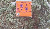Trail Snowshoes Gérardmer - Gerardmer raquettes 5 - Photo 5