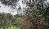 Trail Walking Ramatuelle - ramatuelle cap camarat - Photo 2