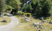 Tour Wandern Le Valtin - Col de la Schlucht - sentier des Roches - Petit Honneck - Honneck - Trois Fours - Photo 19