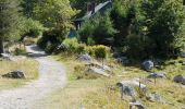 Percorso Marcia Le Valtin - Col de la Schlucht - sentier des Roches - Petit Honneck - Honneck - Trois Fours - Photo 19