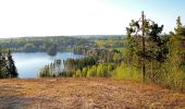 Tour Zu Fuß Viitasaari - Savivuoren luontopolku - Metsän tuulahdus - Photo 2