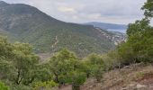 Tour Wandern Rayol-Canadel-sur-Mer - Le Rayol, col de l'étoile  - Photo 4