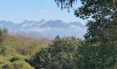 Trail Walking Menthonnex-en-Bornes - Tour du plateau des Bornes  - Photo 1