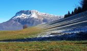 Trail Walking Saint-Jean-d'Arvey - Mont Peney en circuit - Photo 16