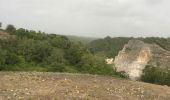 Trail Walking Sainte-Anne - La boucle des mangues  - Photo 3