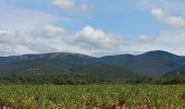 Percorso Marcia Rousset-les-Vignes - Rousset les Vignes - Photo 3