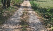 Tocht Quad Montescot -  Villeneuve-de-la-Raho-Collioure (Septembre/Juin) - Photo 10