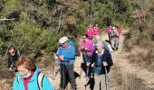 Trail Walking Signes - Boucle Signes - Siou-Blanc - Photo 4