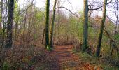 Tour Wandern Vieux-Moulin - en forêt de Compiègne_26_la Grotte des Ramoneurs_Tournantes de la Queue de Saint-Etienne et sur la Côte de Roilaye - Photo 10